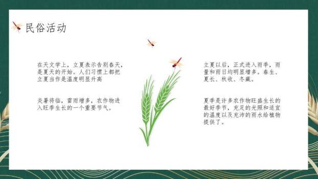 小满节气麦穗雅韵PPT模板6