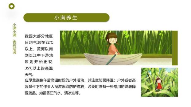 小满节气农耕田园PPT模板9