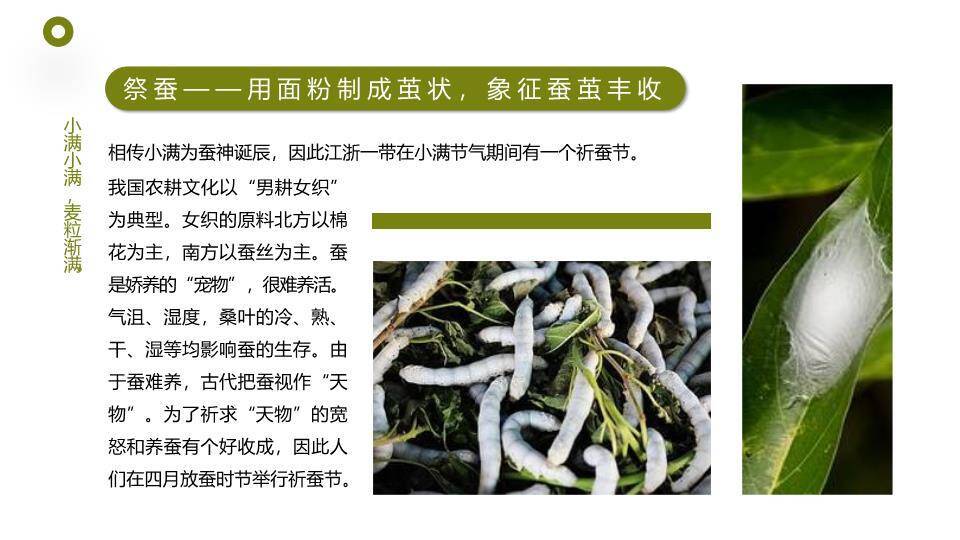 小满节气农耕田园PPT模板4