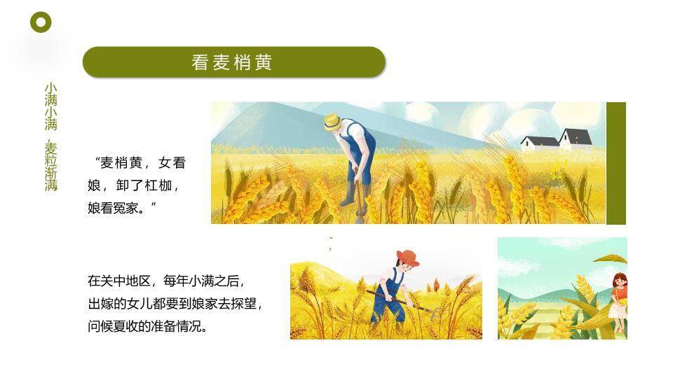 小满节气农耕田园PPT模板7