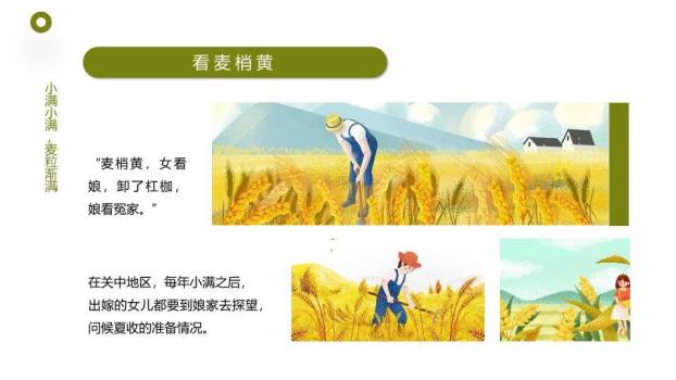 小满节气农耕田园PPT模板7