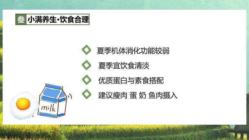 小满节气梯田风光PPT模板8