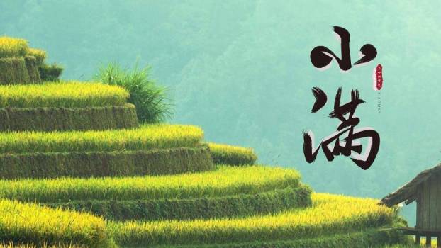 小满节气梯田风光PPT模板0