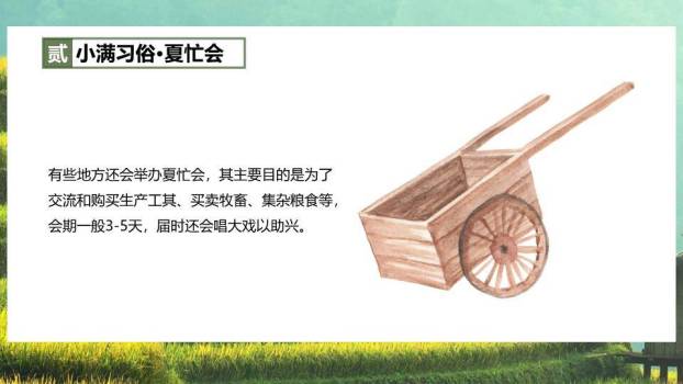 小满节气梯田风光PPT模板1