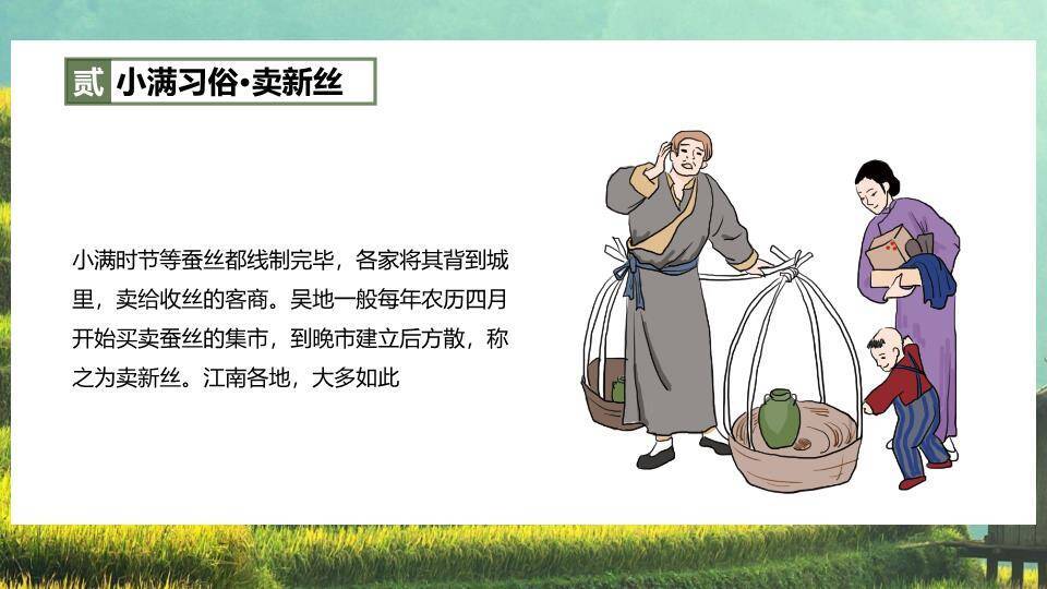 小满节气梯田风光PPT模板2