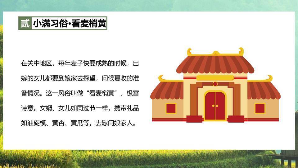 小满节气梯田风光PPT模板3