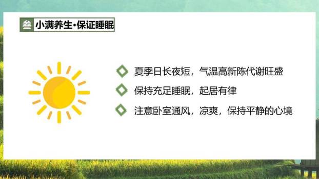 小满节气梯田风光PPT模板6