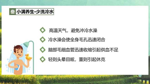 小满节气梯田风光PPT模板7