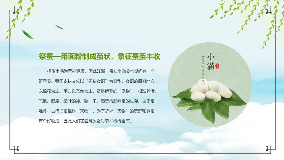 小满节气绿野诗情PPT模板4