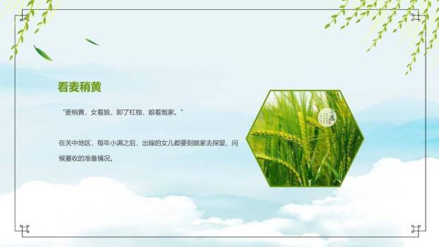 小满节气绿野诗情PPT模板7