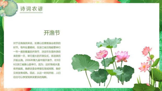 处暑节气荷塘锦鲤PPT模板9
