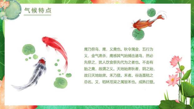 处暑节气荷塘锦鲤PPT模板1