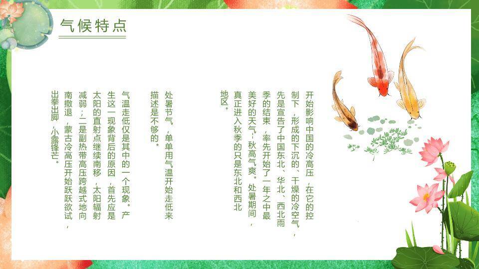 处暑节气荷塘锦鲤PPT模板2