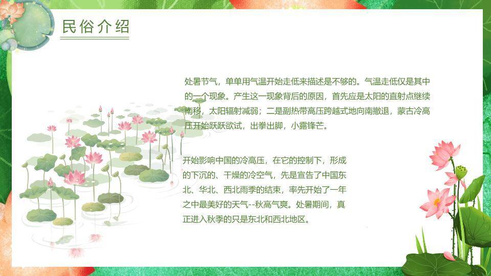 处暑节气荷塘锦鲤PPT模板5