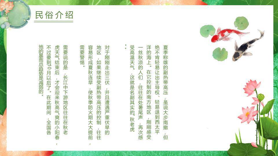 处暑节气荷塘锦鲤PPT模板6