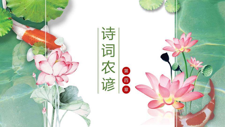 处暑节气荷塘锦鲤PPT模板7