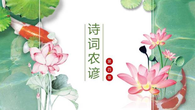 处暑节气荷塘锦鲤PPT模板7