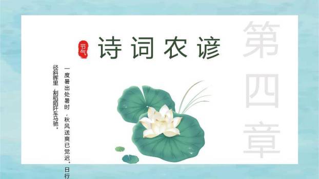 处暑节气风铃蜻蜓PPT模板7