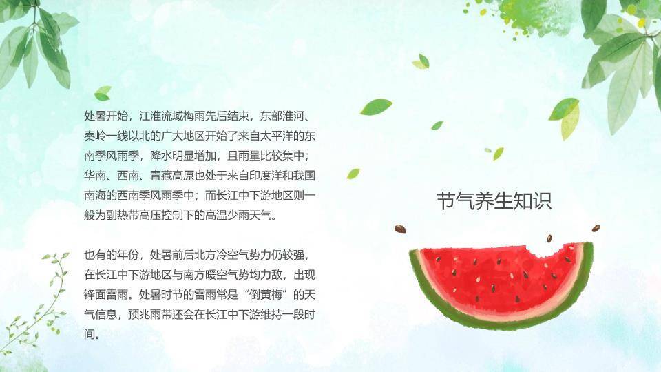 处暑节气童趣西瓜PPT模板9