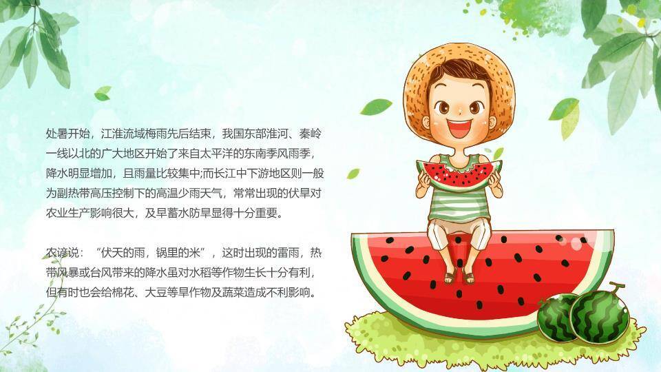 处暑节气童趣西瓜PPT模板6