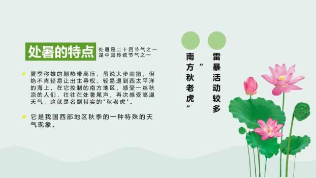 处暑节气水彩花影PPT模板1