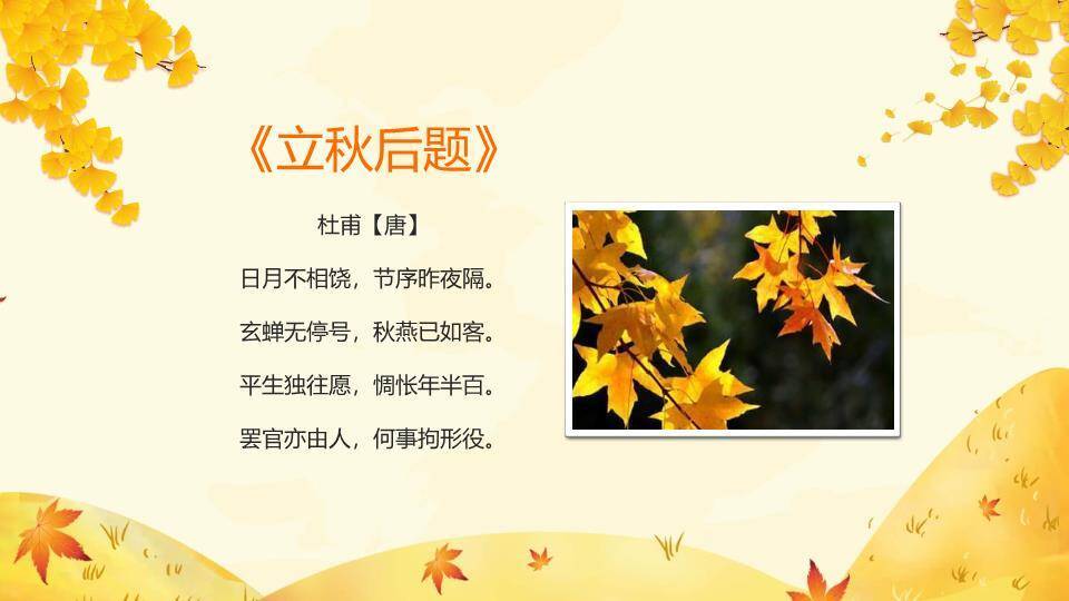 立秋节气金秋画卷PPT模板8