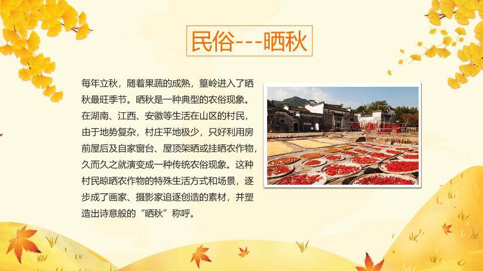 立秋节气金秋画卷PPT模板3