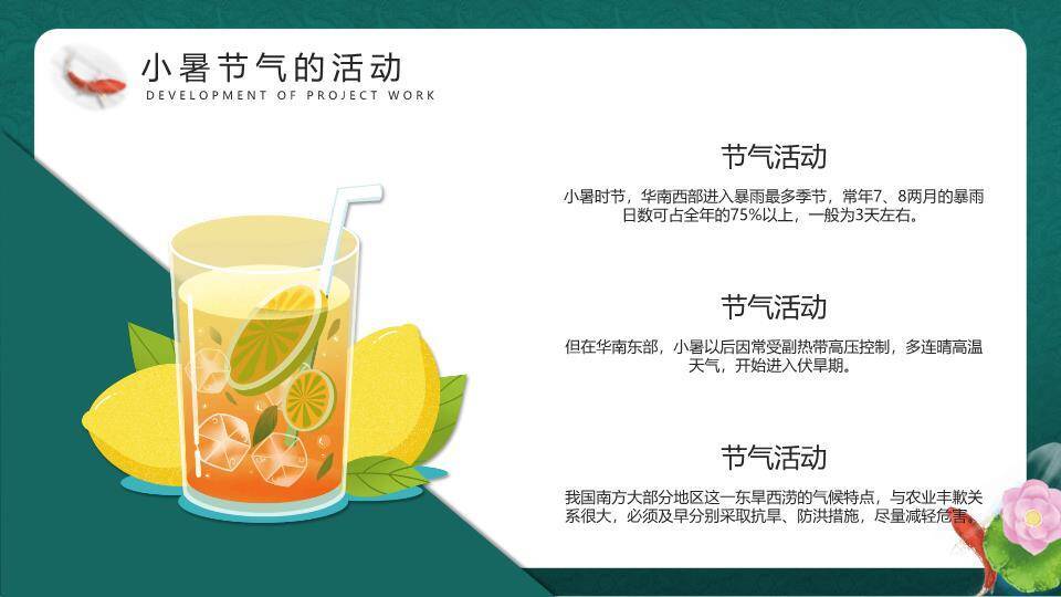 小暑节气荷塘雅韵PPT模板3