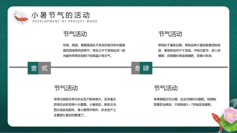小暑节气荷塘雅韵PPT模板4