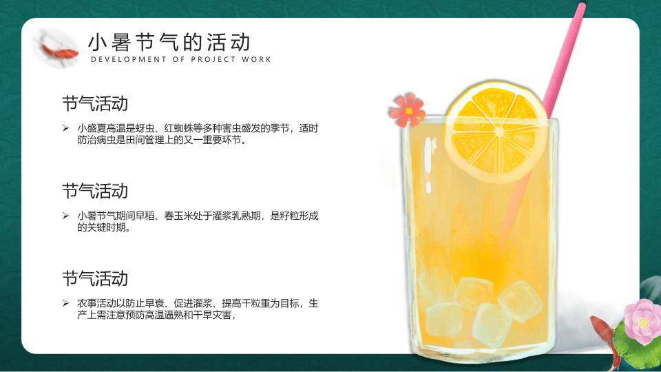 小暑节气荷塘雅韵PPT模板5