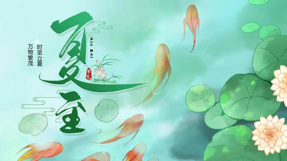夏至节气荷塘清韵PPT模板0