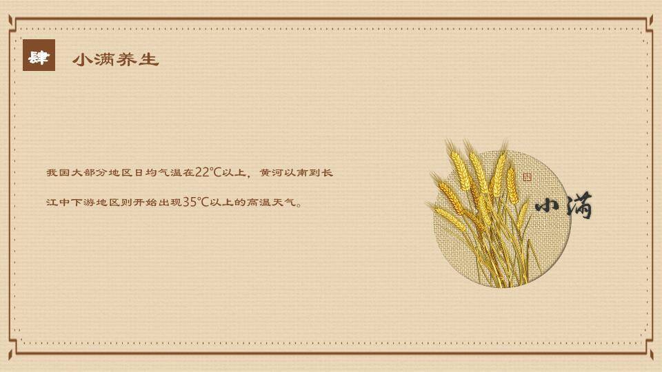 小满节气麦穗雅韵PPT模板9