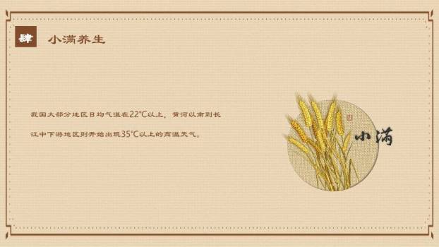 小满节气麦穗雅韵PPT模板9