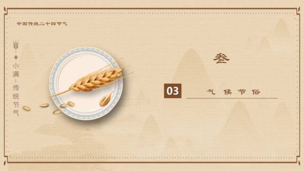 小满节气麦穗雅韵PPT模板2