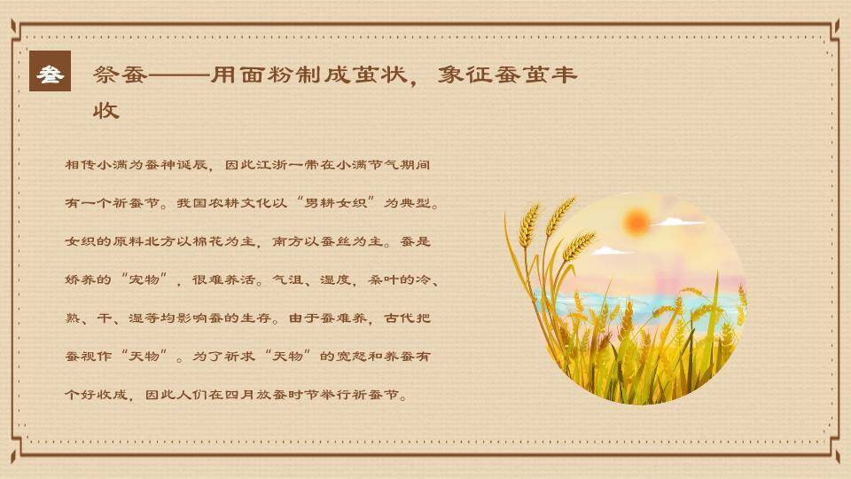 小满节气麦穗雅韵PPT模板4