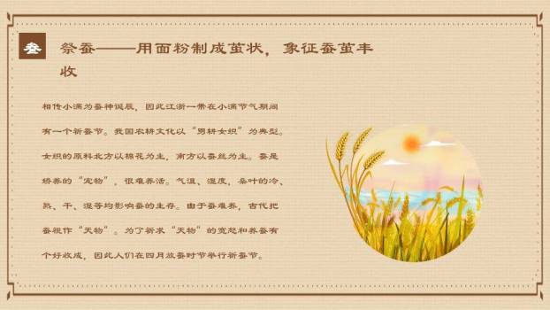 小满节气麦穗雅韵PPT模板4