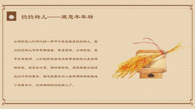 小满节气麦穗雅韵PPT模板5