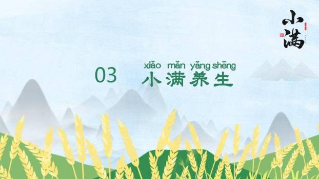 小满节气麦浪飞鸟PPT模板8