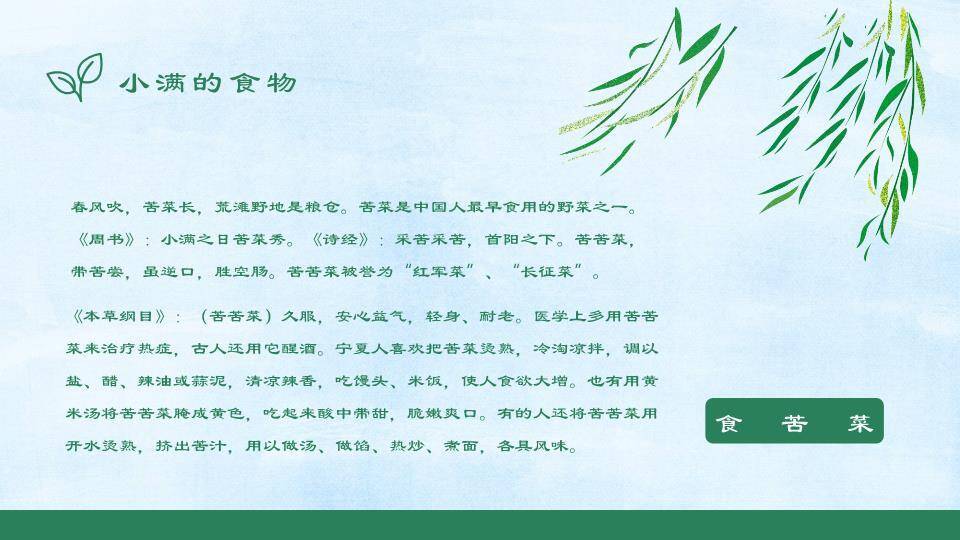 小满节气麦浪飞鸟PPT模板3