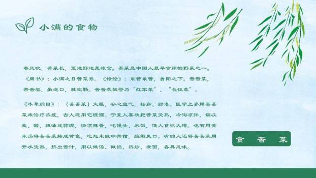 小满节气麦浪飞鸟PPT模板3