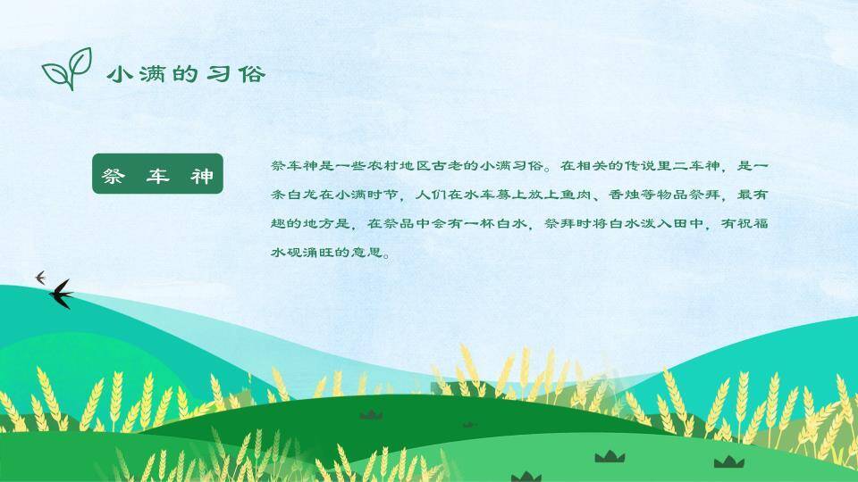 小满节气麦浪飞鸟PPT模板4
