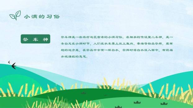 小满节气麦浪飞鸟PPT模板4