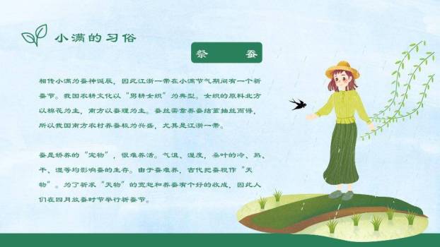 小满节气麦浪飞鸟PPT模板5