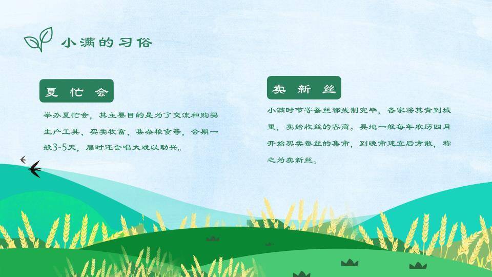小满节气麦浪飞鸟PPT模板6
