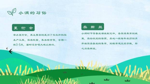 小满节气麦浪飞鸟PPT模板6