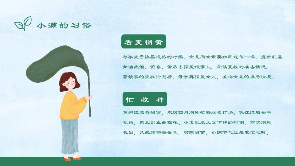 小满节气麦浪飞鸟PPT模板7