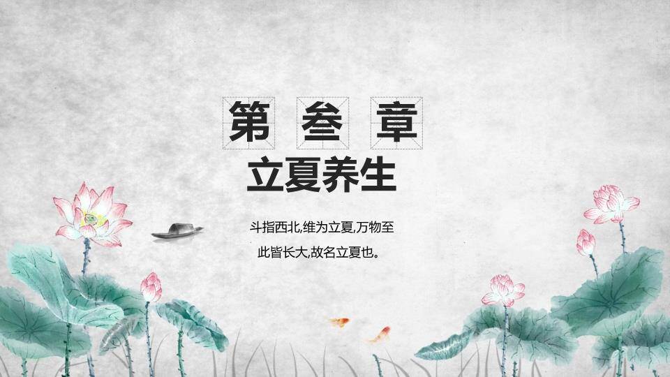 立夏节气水墨荷花PPT模板6