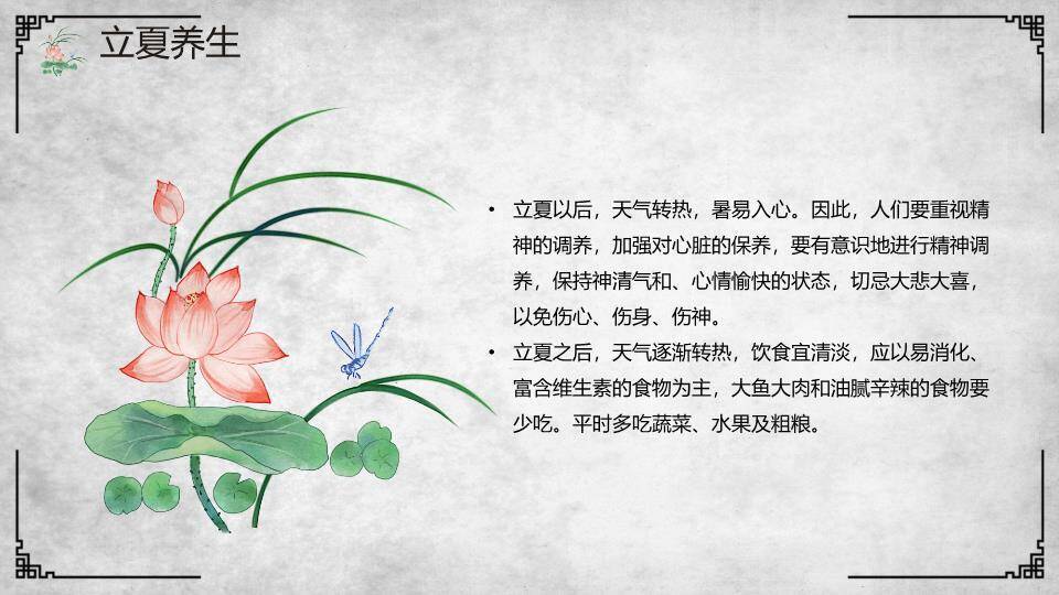 立夏节气水墨荷花PPT模板7