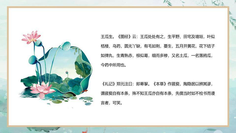 立夏节气荷塘清韵PPT模板9