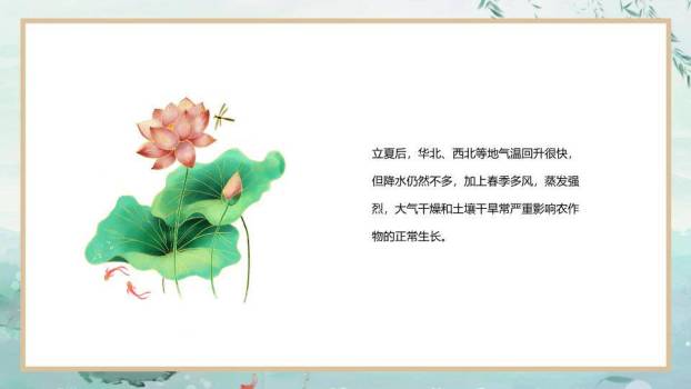 立夏节气荷塘清韵PPT模板4